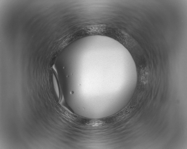 X0000058760514200510171202