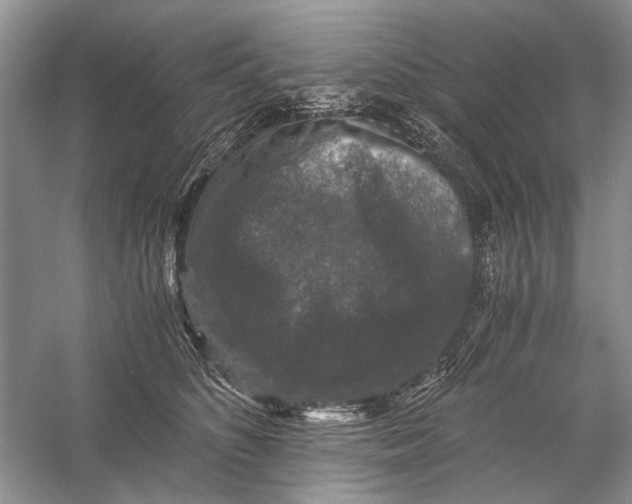 X0000058760516200510171202