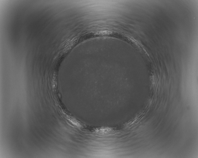 X0000058760517200510171202