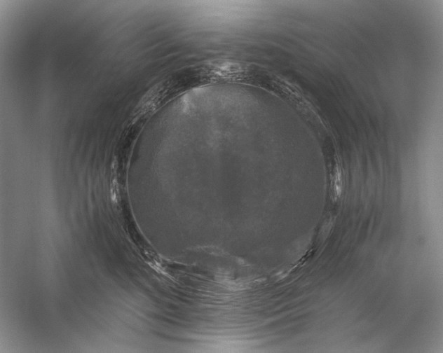 X0000058760520200510171202