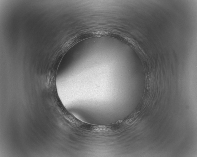 X0000058760521200510171202