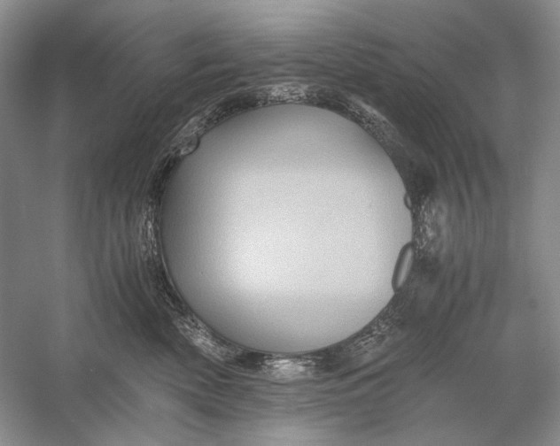 X0000058760522200510171202