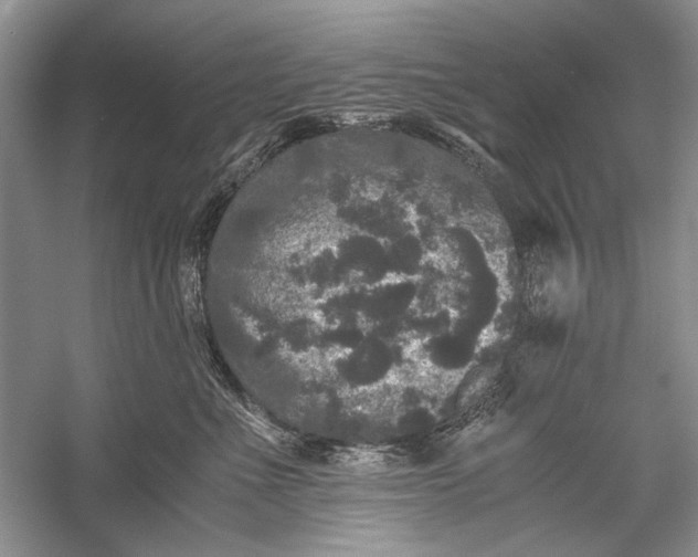 X0000058760523200510171202