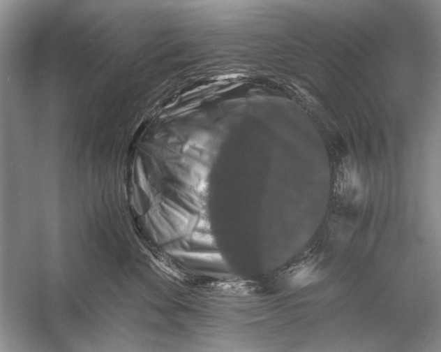 X0000058760524200510171202