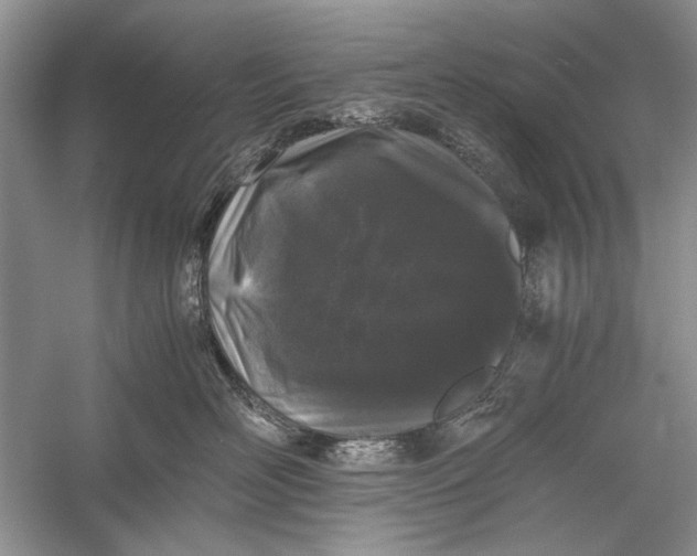X0000058760526200510171202