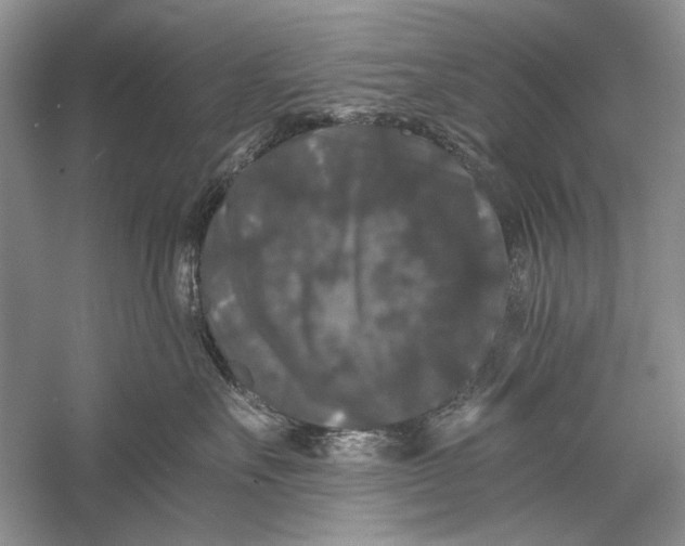 X0000058760527200510171202