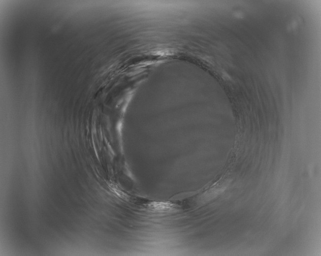 X0000058760528200510171202