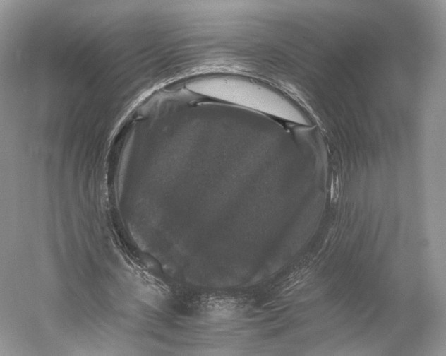X0000058760531200510171201