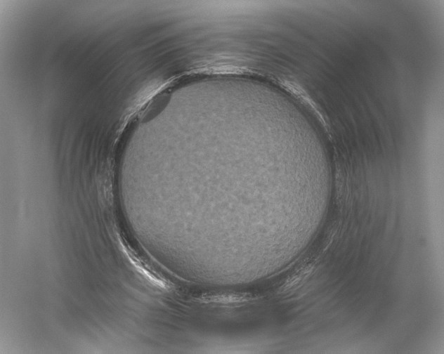 X0000058760533200510171201