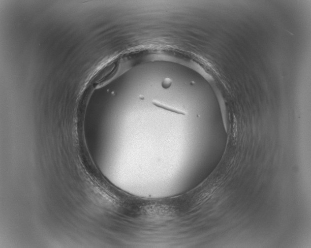 X0000058760535200510171201
