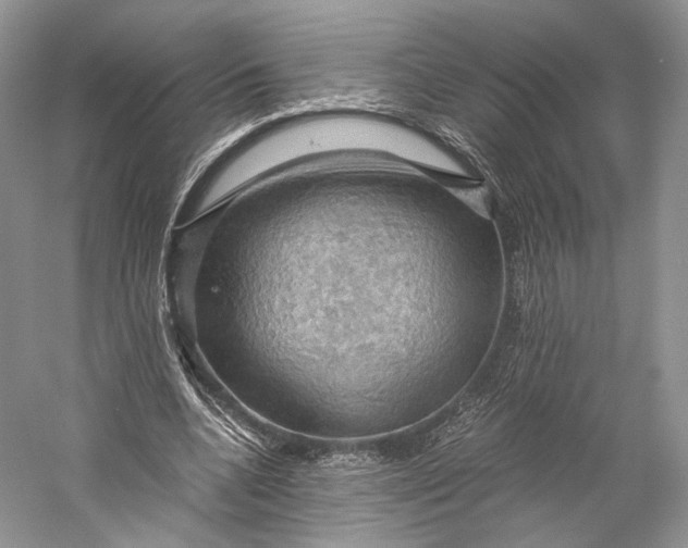 X0000058760536200510171202