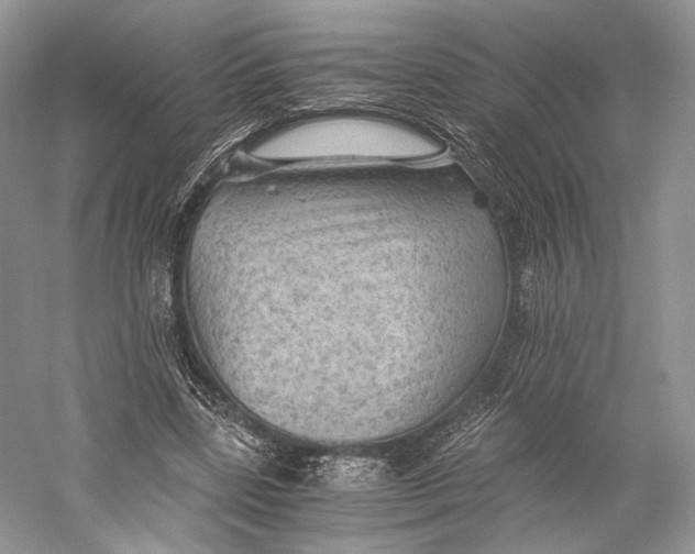 X0000058760539200510171202