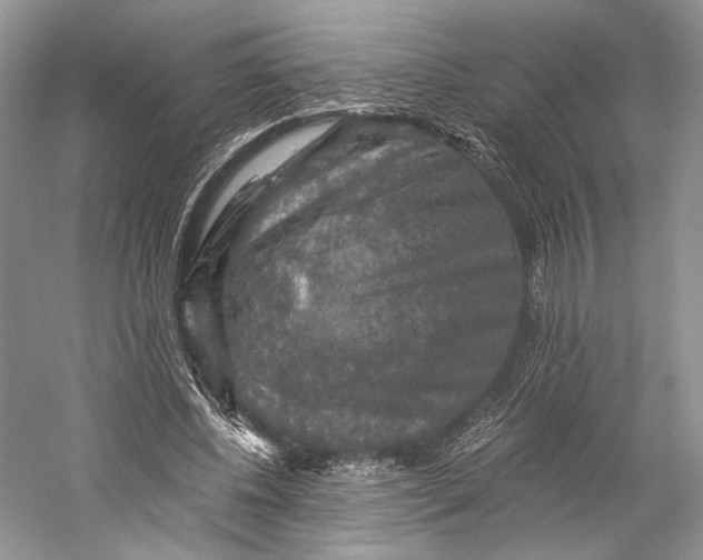 X0000058760540200510171202