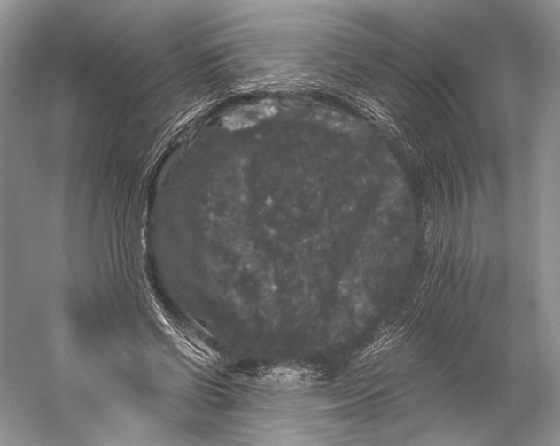 X0000058760542200510171202