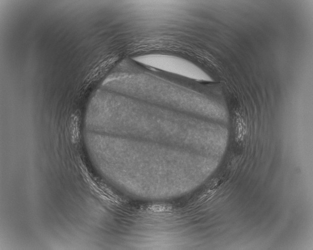 X0000058760546200510171202