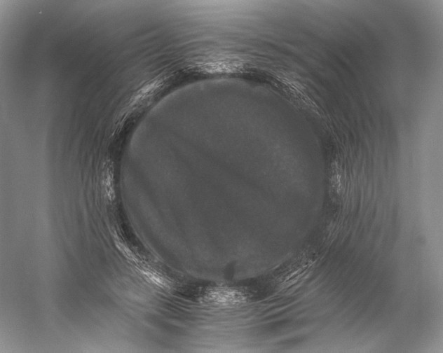 X0000058760547200510171202