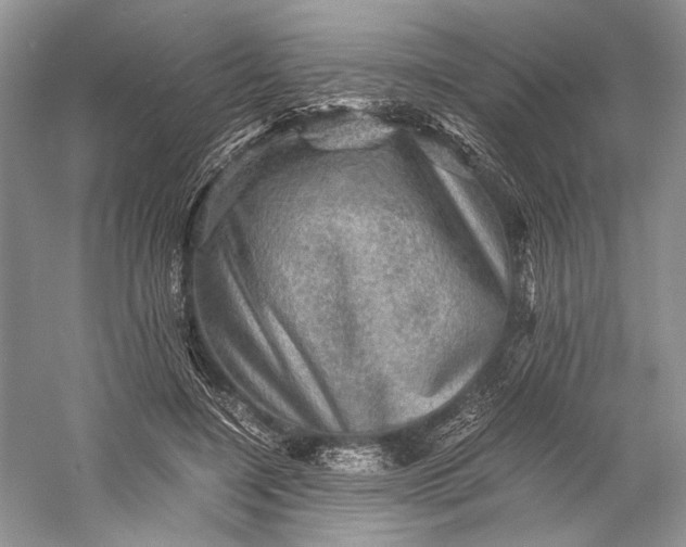X0000058760548200510171202