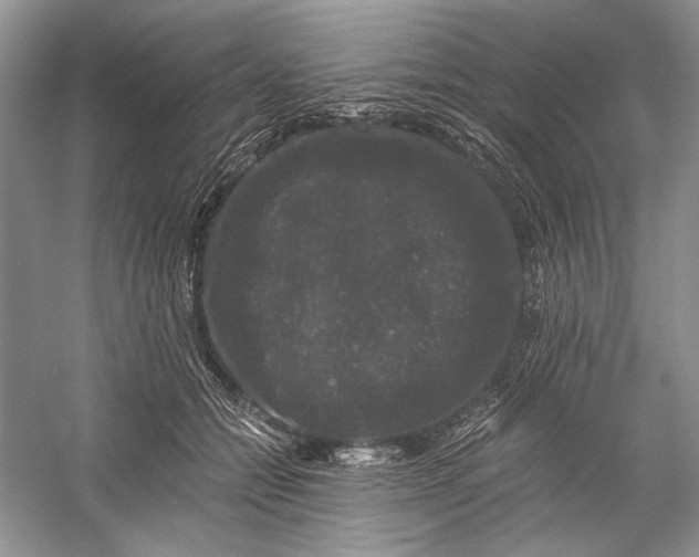 X0000058760558200510171202