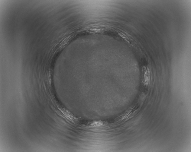 X0000058760562200510171202