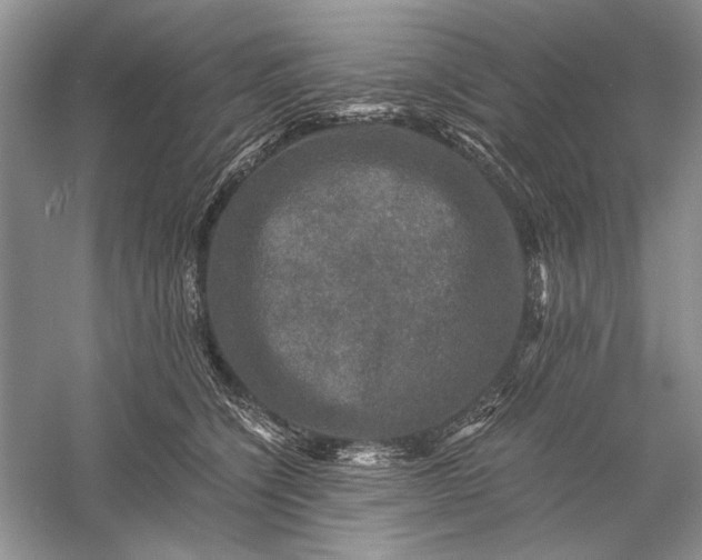 X0000058760564200510171202