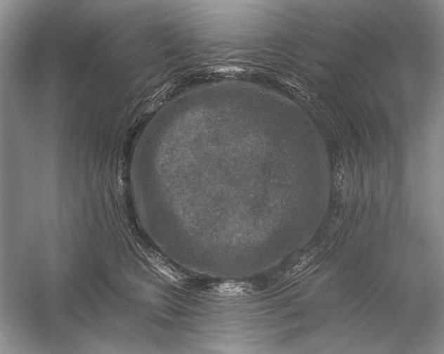 X0000058760566200510171202
