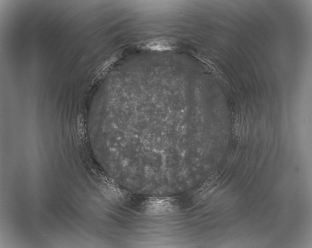 X0000058760569200510171202