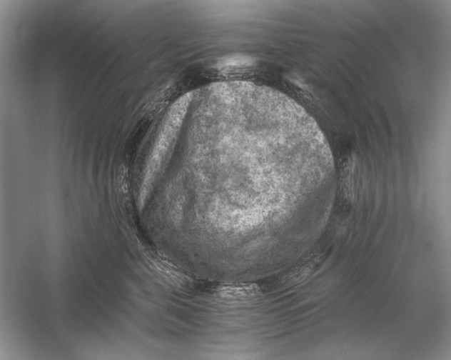 X0000058760571200510171202