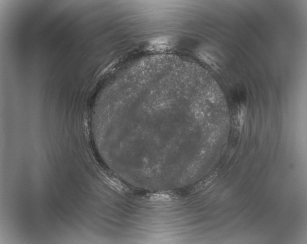 X0000058760572200510171202