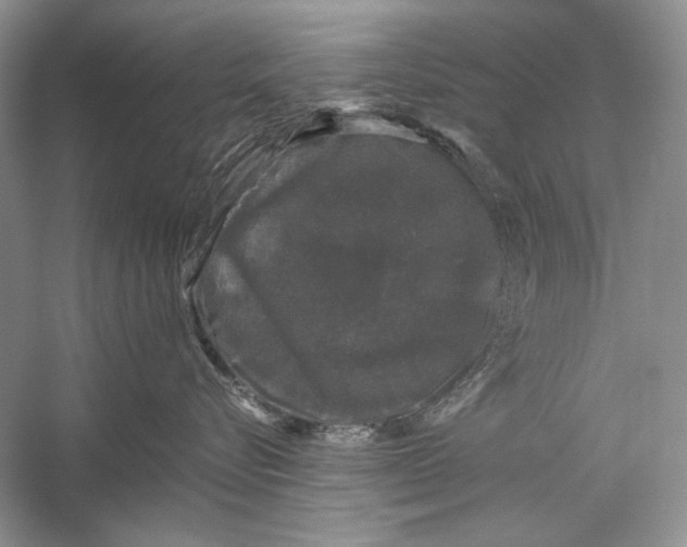 X0000058760576200510171202