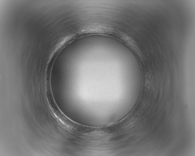X0000058760578200510171201