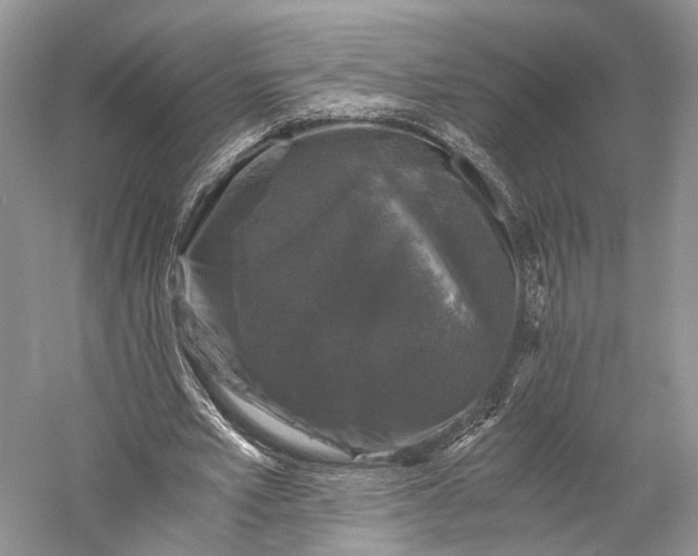 X0000058760581200510171201