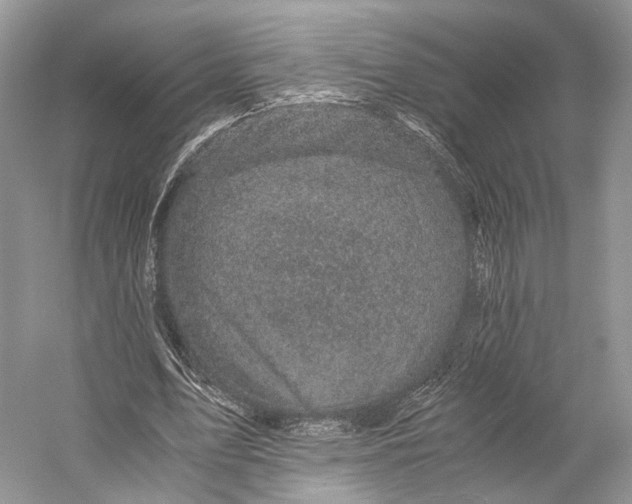 X0000058760583200510171201