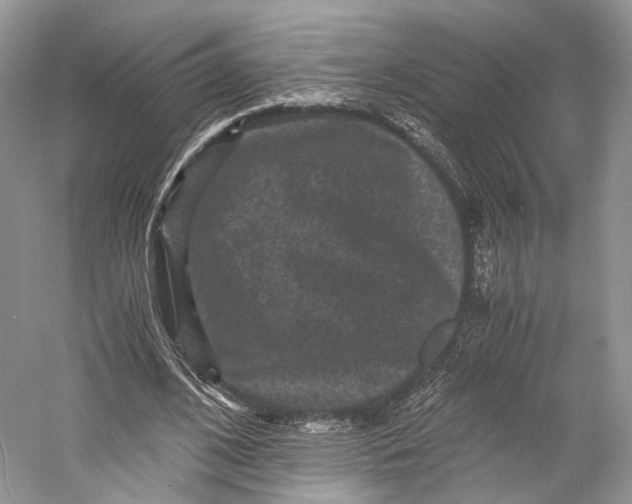 X0000058760584200510171201