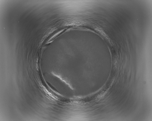 X0000058760585200510171201