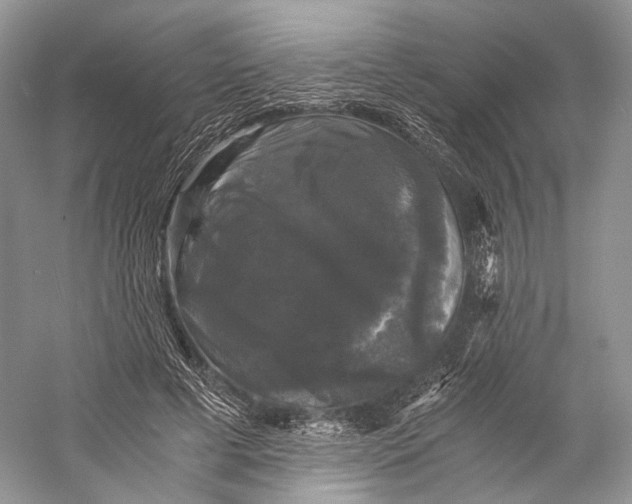X0000058760593200510171201