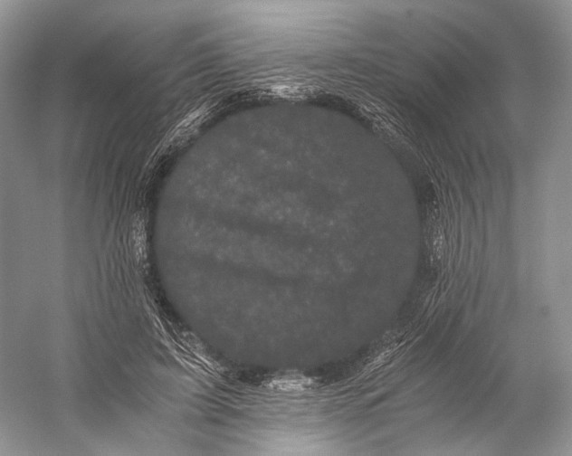 X0000058760595200510171201