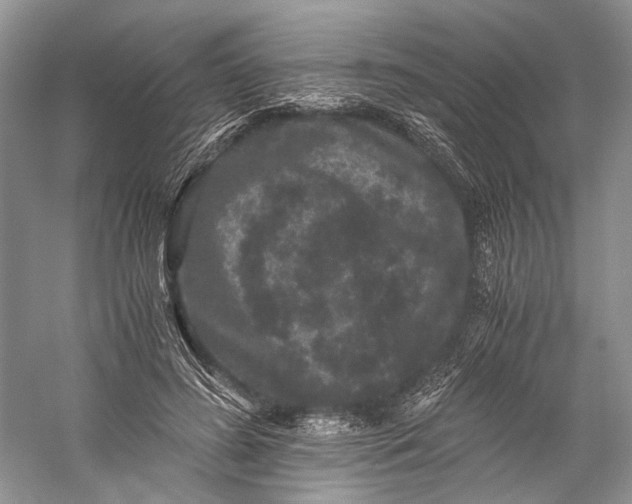 X0000058760596200510171201