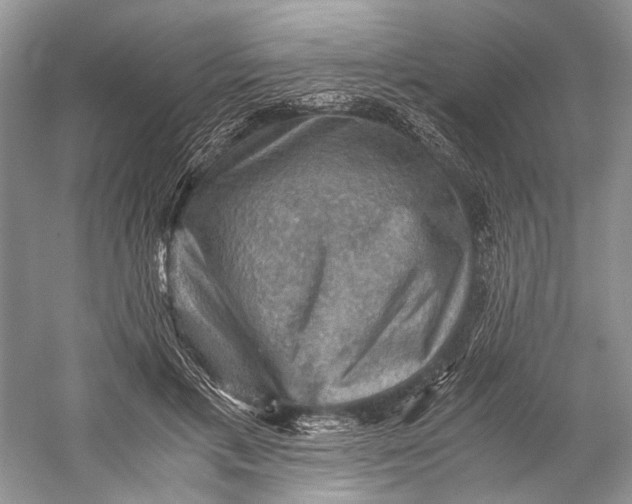 X0000058760597200510171201
