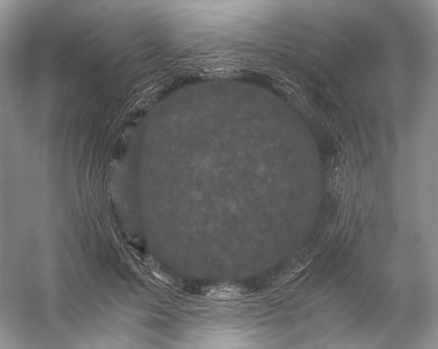 X0000058760599200510171201