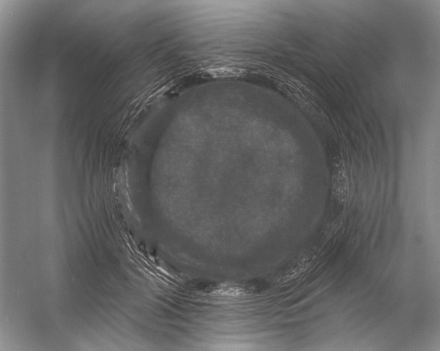 X0000058760604200510171201