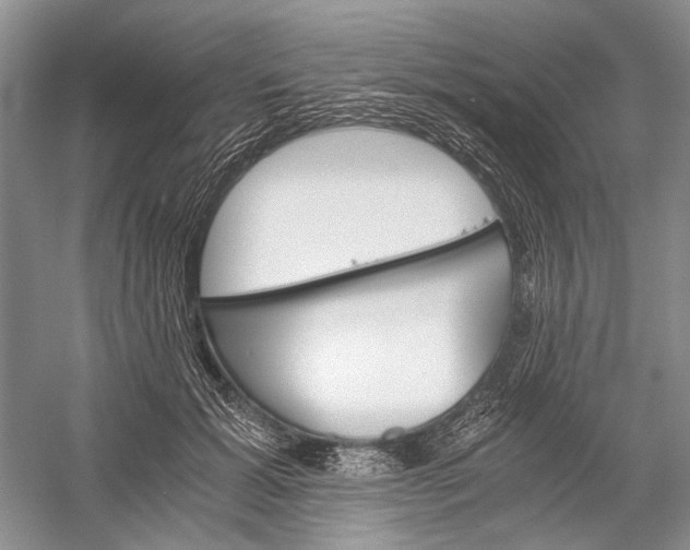 X0000058760605200510171201