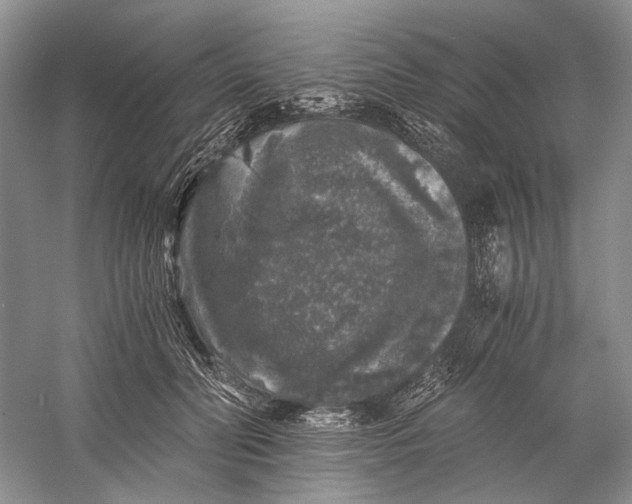 X0000058760606200510171201