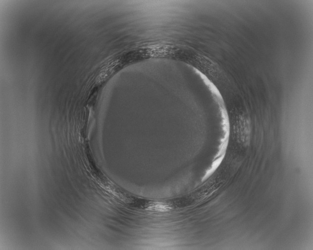 X0000058760610200510171201