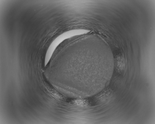 X0000058760615200510171201