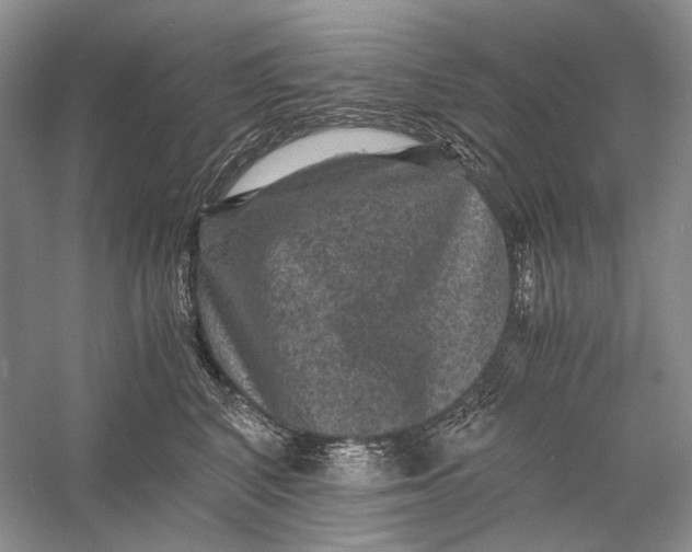 X0000058760616200510171201