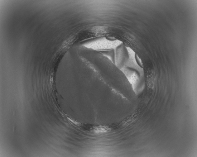 X0000058760618200510171201