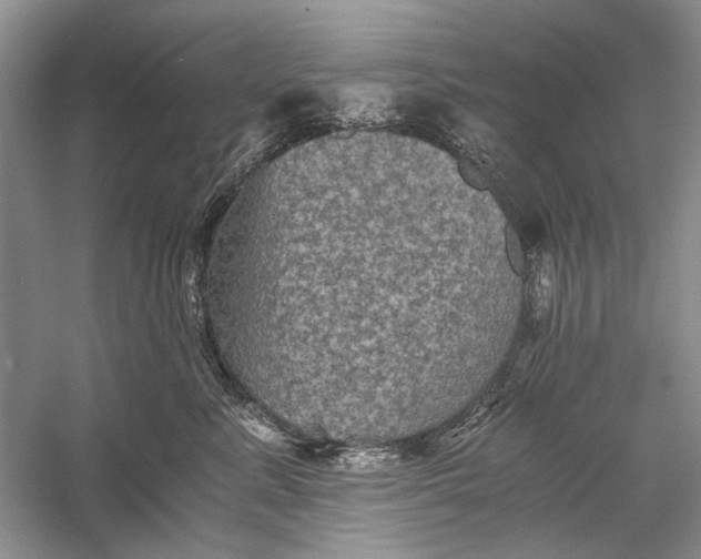 X0000058760619200510171201
