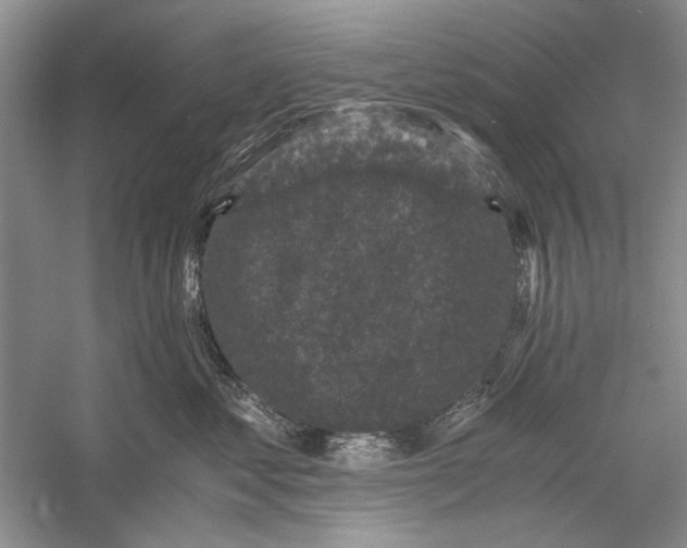 X0000058760621200510171201