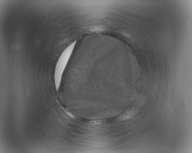 X0000058760624200510171201