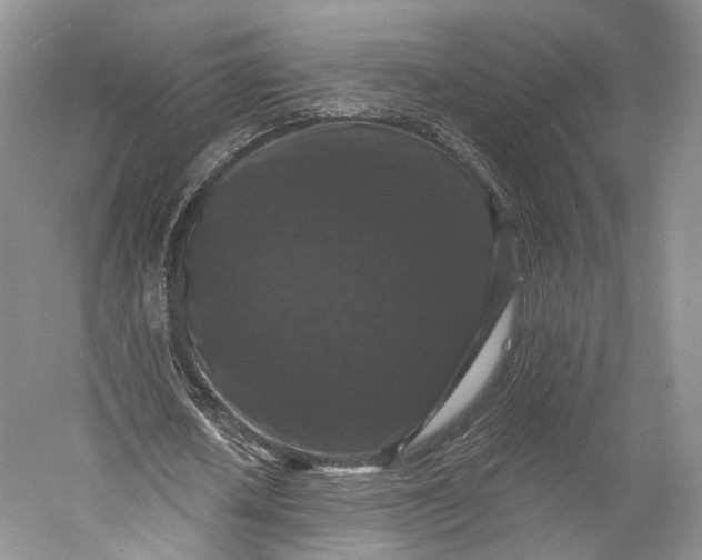 X0000058760626200510171200